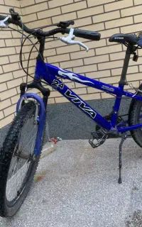 دوچرخه دنده ای ویوا اصلی