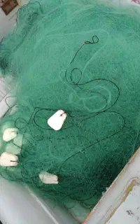 تور ماهیگیری