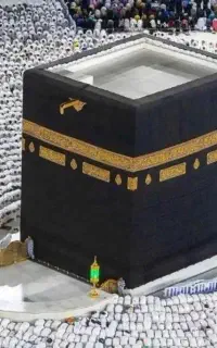 فروش فیش حج عمره دوعدد