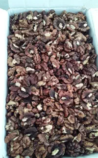مغز گردو