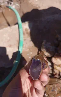 سنگ