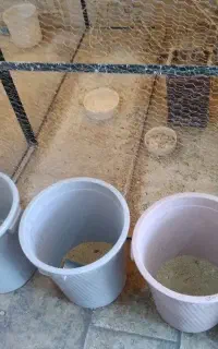 ۱۰ عدد سطل  بزرگ در حد نو  دونه ایی ۴۰۰
