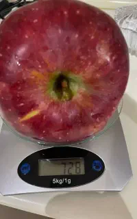 بذر یونجه
