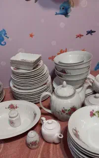 تعدادی زیادی چینی گل سرخی