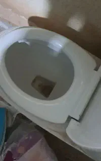 توالت فرهنگی ۲عدد