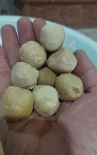 کشک گوسفندی تازه کاملاً تمیز و بهداشتی