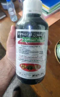 پاراکوات عربی