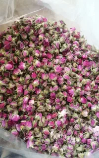 گل محمدی در گویم