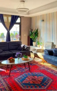 خانم هستم کارهای روزمره منزل انجام میدم