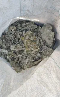 کود تمیز کبوتر