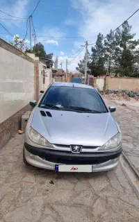 ۲۰۶ خانگی تمیز