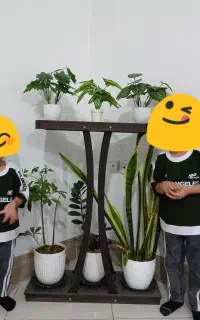 استند سه طبقه