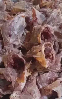 غذای سگ و گربه ،اسکلت و گردن مرغ