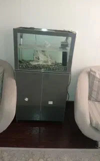 آکواریوم