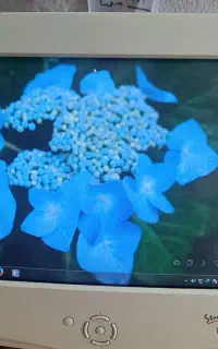 مانیتور آل جی