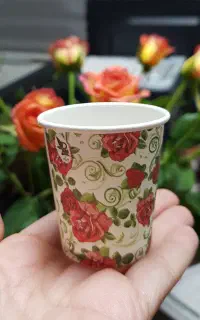 لیوان کاغذی پارس