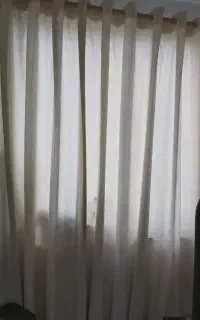 پرده