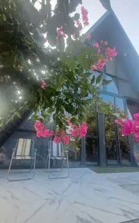 اجاره مجموعه اقامتی دربست( دو ویلای سویسی )