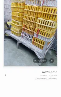 وسایل مغازه مرغ زنده