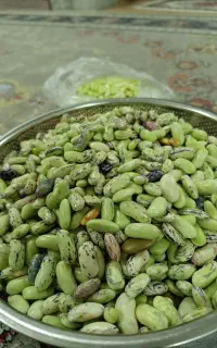 پاچ باقالی پاک شده کیلویی ۶۰۰ تومن