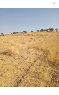 کار کشاورزی