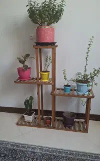 تعدادی گل  همراه با استند