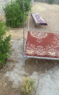 تخت