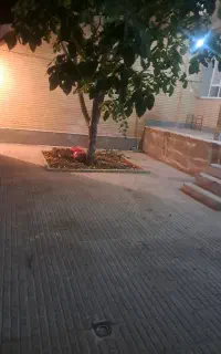 اجاره منزل مسکونی
