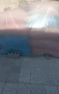 کنگر برای خوراک دام