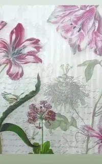 پوستر آماده نصب بیش از ۳۰ مدل با جنس کاغذدیواری