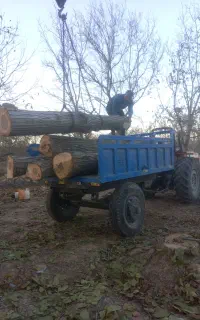 خریدوفروش‌چوب‌ودرخت‌وتیرسقفی