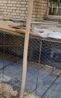 قفس
