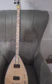 باغلاما برقی باغلاما الکترو اقساطی