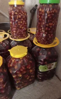 ترشی سیر