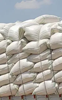 فروش کاه گندم دیم