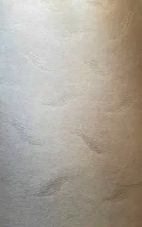 موکت ظریف مصور