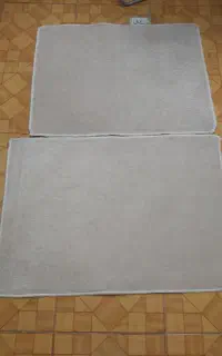 پادری یا زیرپایی