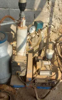 شیر دوش روند شیر