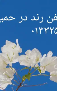 خط تلفن رند در حمیدیان ۳۲۵۷۰۷۹۷