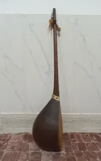 دوتار گل وسط کاسه بزرگ