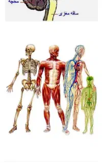 ادمین تولید محتوا اینیستاگرام