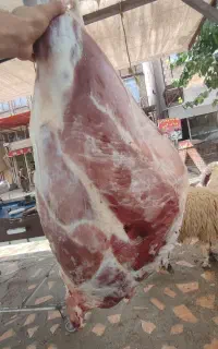گوشت گرم و تازه کشتارروز گوساله و گوسفند