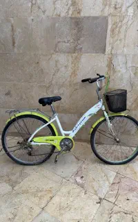 دوچرخه /بزرگسال و کودک