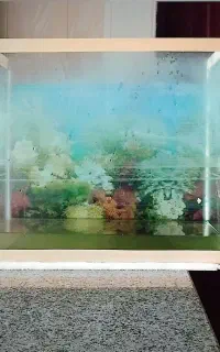 آکواریوم شیشه خم