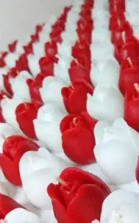 شمع های کیوت
