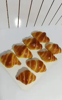 تغذیه مدارس