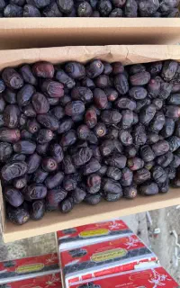 خرما درجه 1ودرجه 2