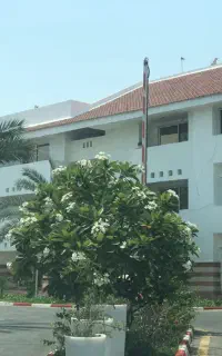 نسیم کیش یکخواب مبله