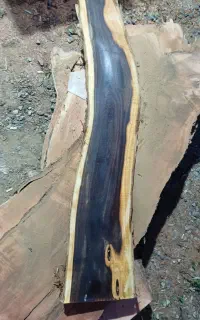 اسلب کالباسی چوب تنه درخت جوش و دفرمه