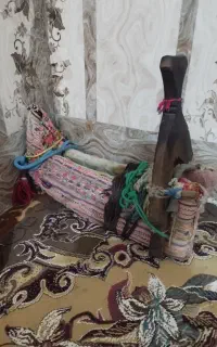 شتر